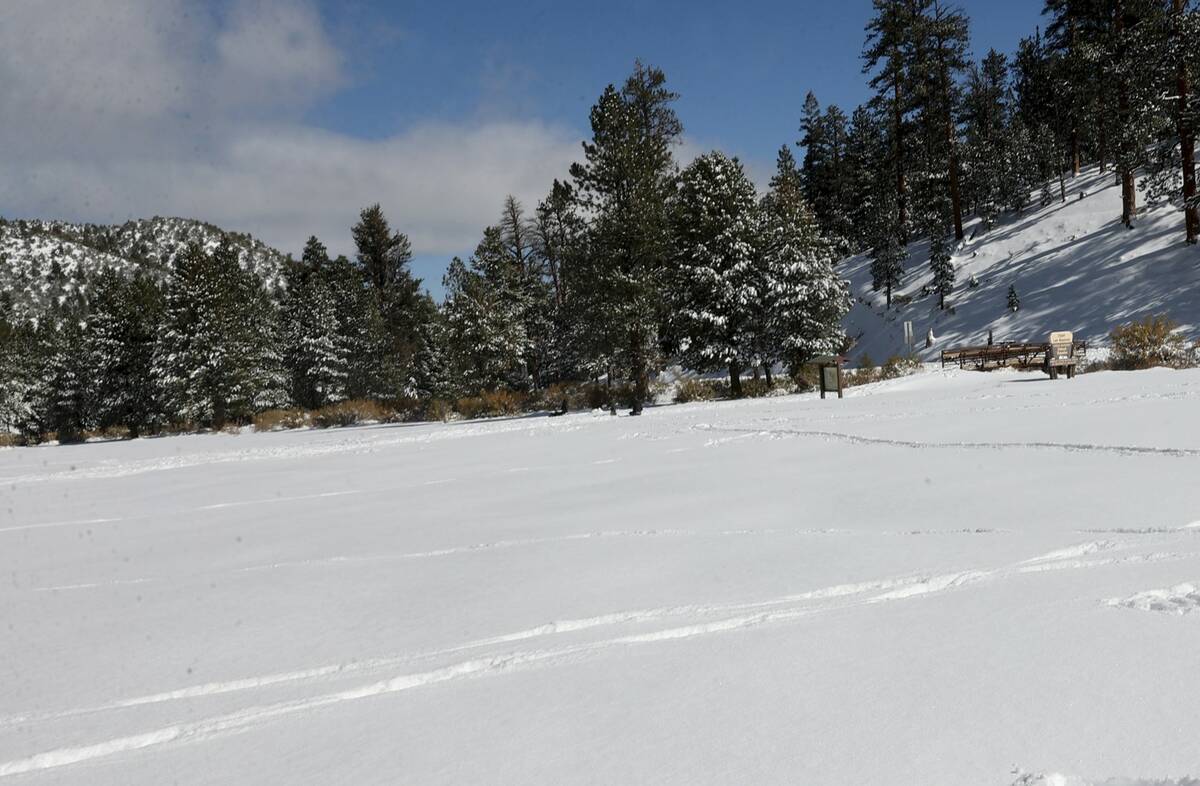 Upper Lee Meadows on Mount Charleston northwest of Las Vegas (K.M. Cannon/Las Vegas Review-Journal)