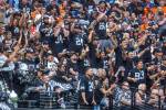 LETTER: Raiders have been lame for two decades