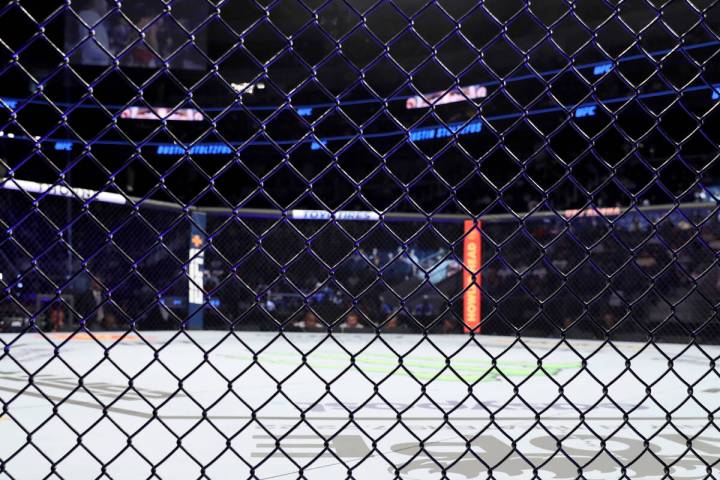 An empty Octagon is seen at UFC on ABC 3, Saturday, July 16, 2022, in Elmont, NY. (AP Photo/Gre ...