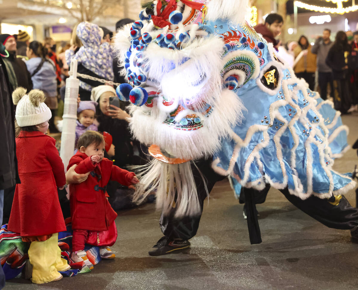 Members of Guan Strong Lion Arts get up close with the crowd during a lion dance during Downtow ...