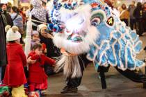 Members of Guan Strong Lion Arts get up close with the crowd during a lion dance during Downtow ...