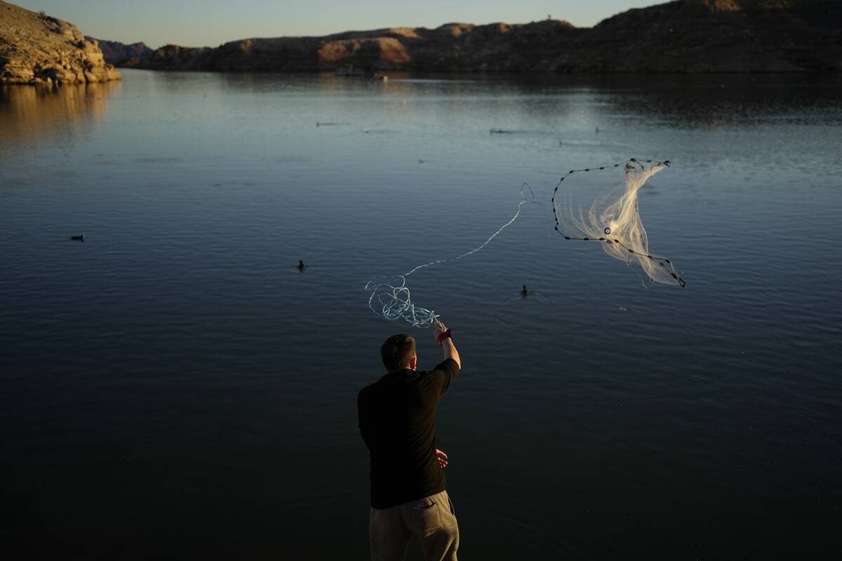 A fisherman throws a cast net along shore of Lake Mead at the Lake Mead National Recreation Are ...
