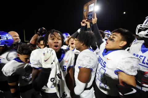 Bishop Gorman players celebrate a win in the football 5A regional final against Liberty at Libe ...