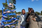 A year later, tree dedicated to 7 family members killed in crash
