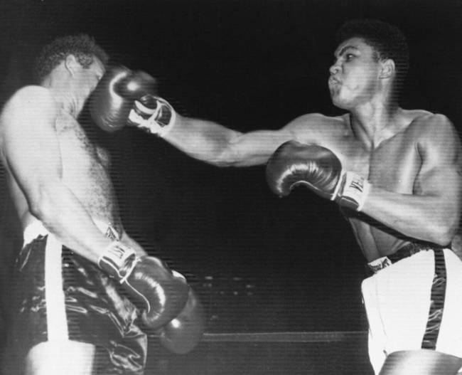 19-year old Cassius Clay, last year's Olympic gold medalist who recently turned professional, c ...