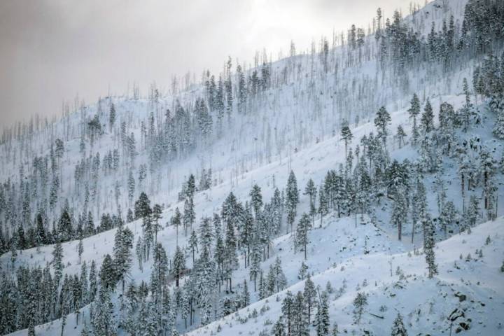 A coat of fresh snow is seen on a mountain the morning after a winter storm pelted the region w ...