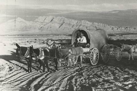 An unnamed miner sits in a covered wagon pulled by burros in the early 1910s, with Frenchman Mo ...