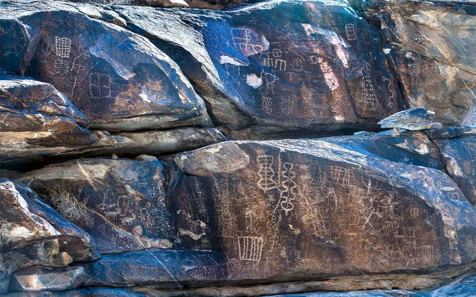 Petroglif penduduk asli Amerika melapisi permukaan batu di sepanjang lantai ngarai di Hiko Springs di…