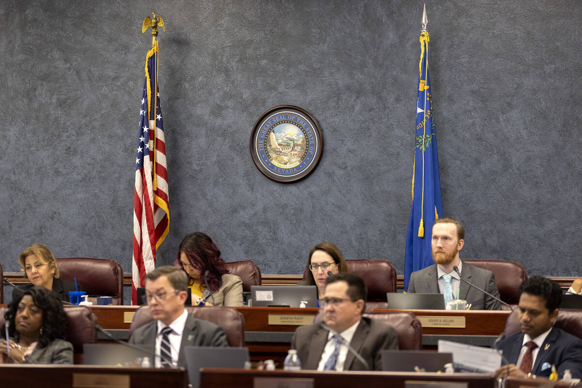 The Assembly Committee on Government Affairs listens to a presentation by the Public Employees' ...