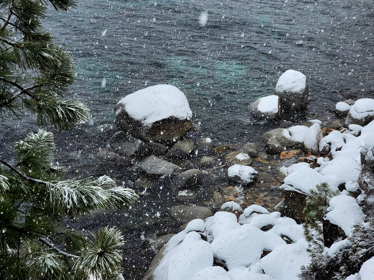 Snow falls on Lake Tahoe on a mid-January day along the Tahoe East Shore Trail. (Natalie Burt/ ...
