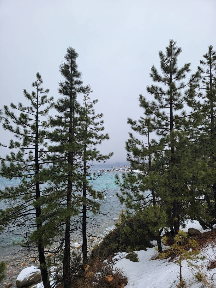 Tahoe blue shines through pines on the Nevada side of Lake Tahoe and reminds visitors that sun- ...