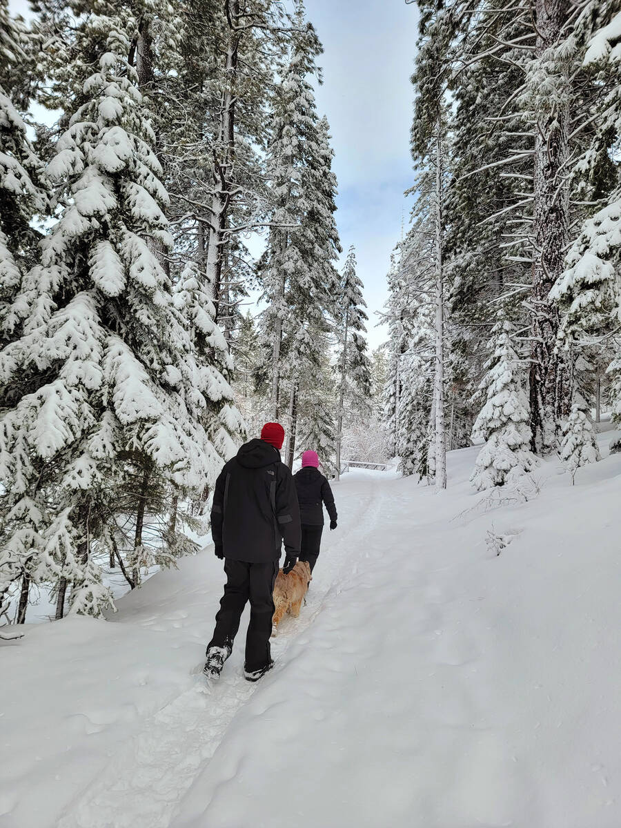 Snow hiking and snowshoeing are popular wintertime pursuits when there's enough snow on Incline ...