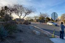 Las Vegas police were investigating a homicide at Charlie Frias Park, near South Decatur Boulev ...