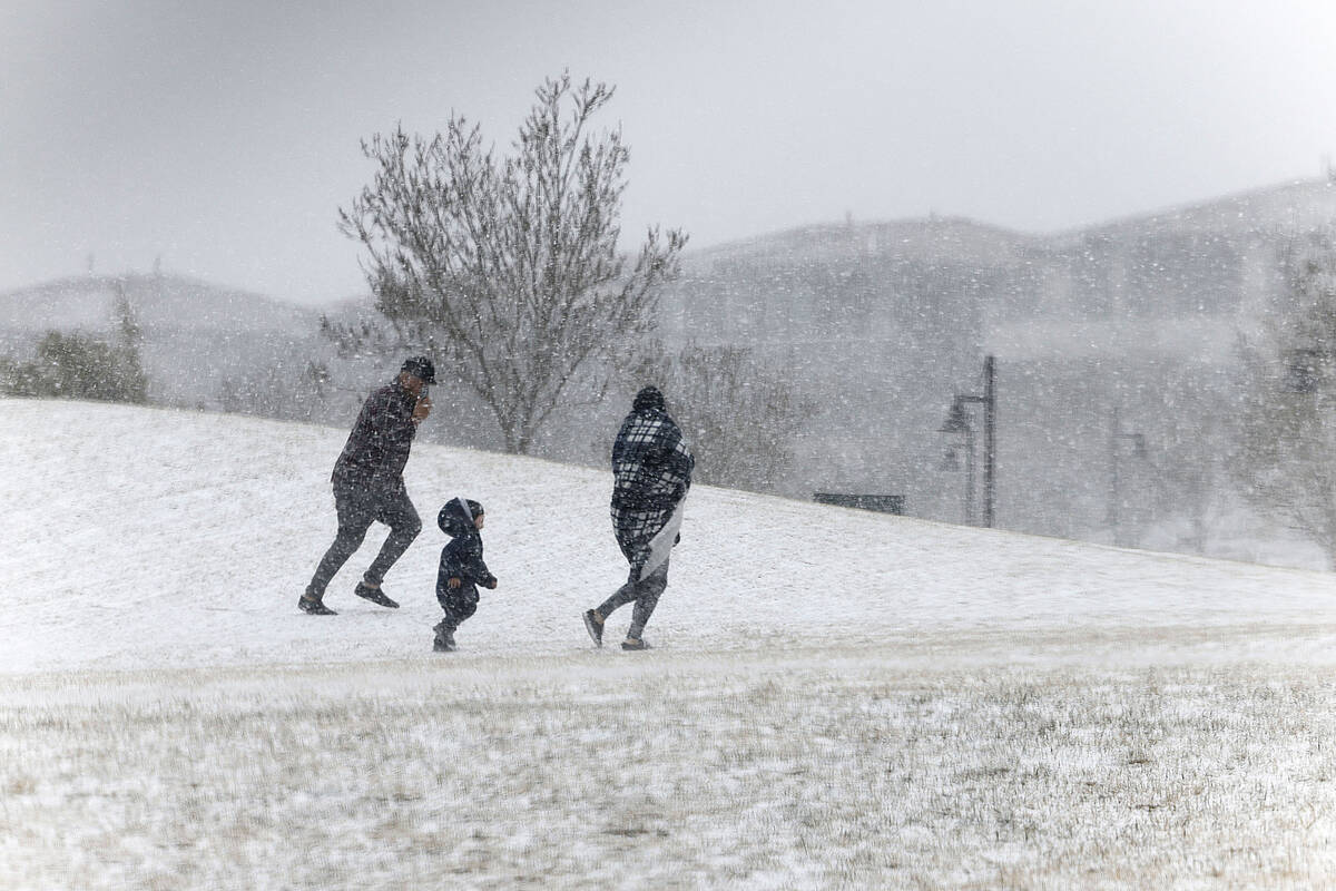 Fox Hill Park is covered snow as people walk through the park against strong wind and snow, Tue ...