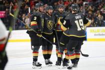 Vegas Golden Knights defenseman Shea Theodore (27) celebrates his goals with his team during th ...