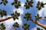 Las Vegas daily highs to move toward 70 — briefly