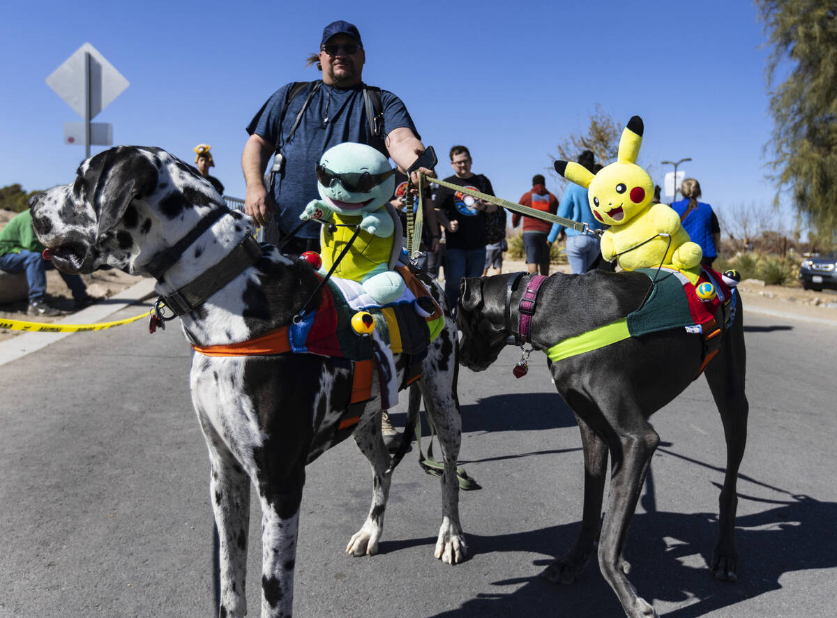 Bill Johnson navigates Sunset Park with his dogs Stinky, left, and Babygirl during the Poké ...