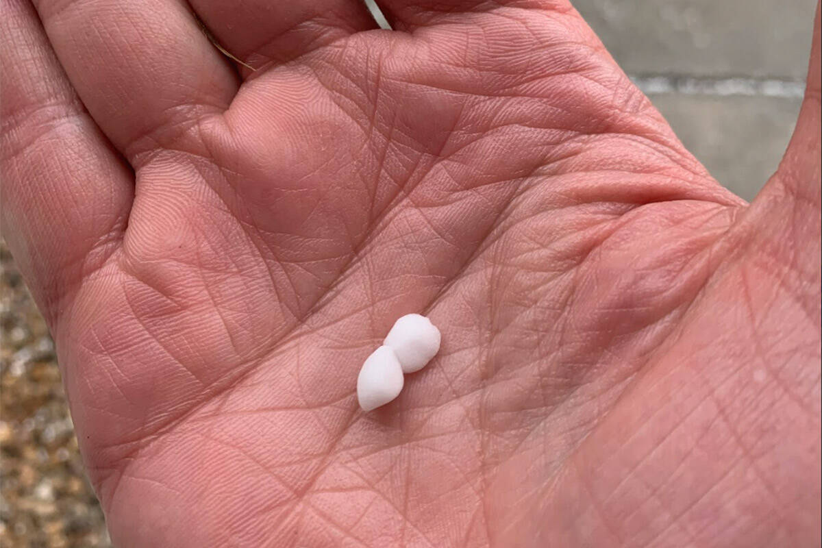 Small hail pellets called graupel fall in the southwest Las Vegas Valley on Wednesday, Feb. 22, ...