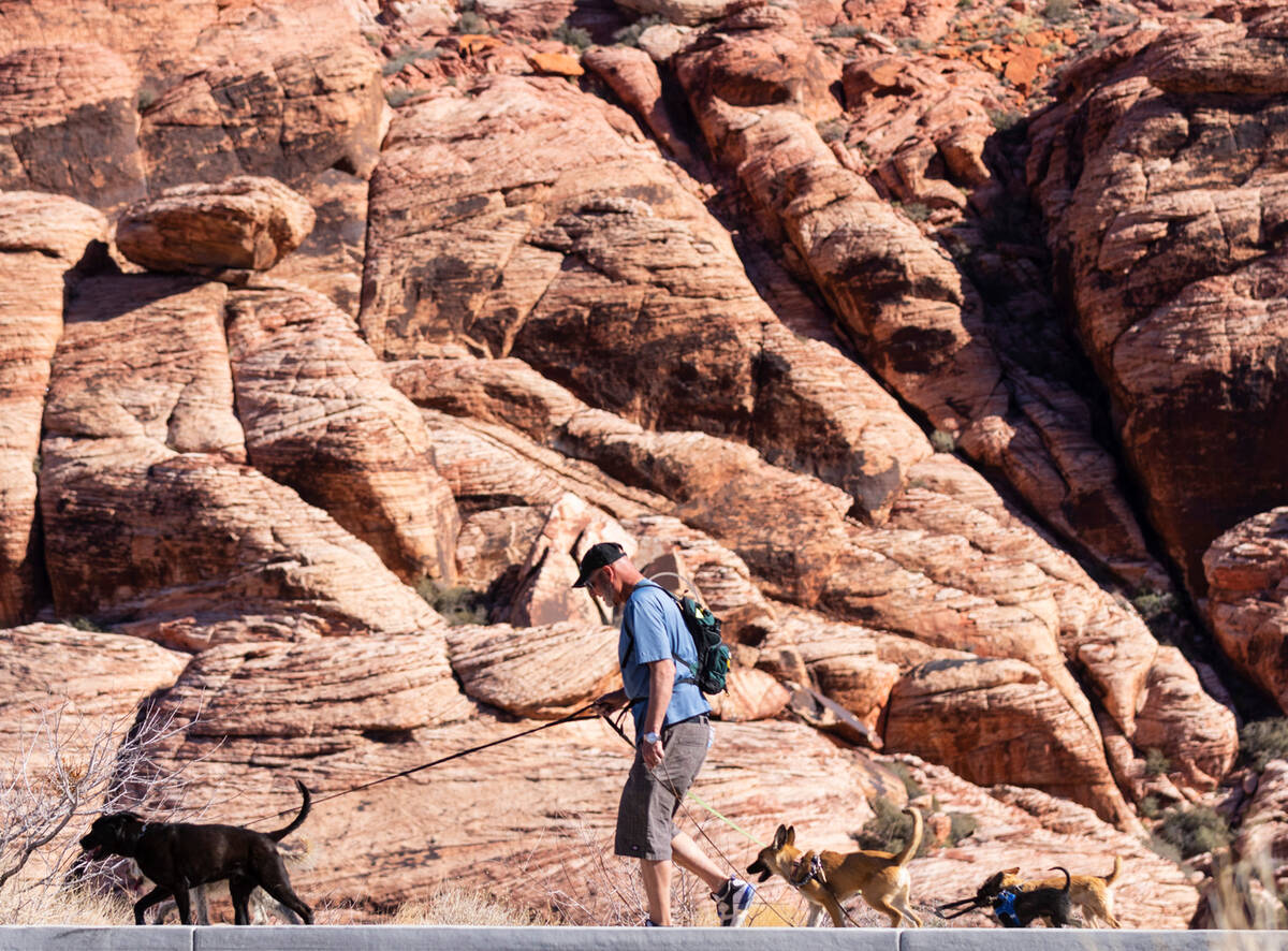 Paul Hinshaw of Las Vegas walks with his dogs along the scenic route at the Red Rock Canyon Nat ...