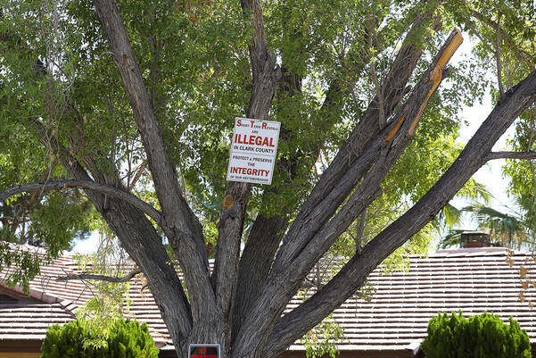 A sign against short-term rentals on a tree at a home in an unincorporated neighborhood in sout ...