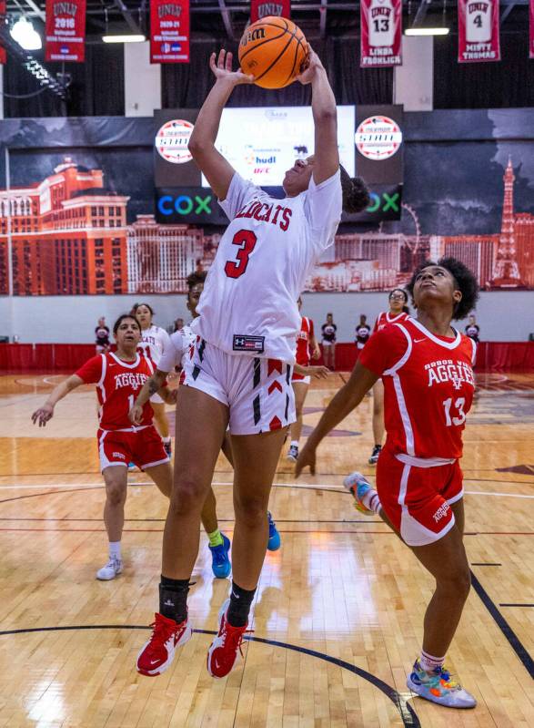 Las Vegas' Vernonie Newson (3) elevates to shoot over Arbor View's Talyiah Mckinney (13) durin ...