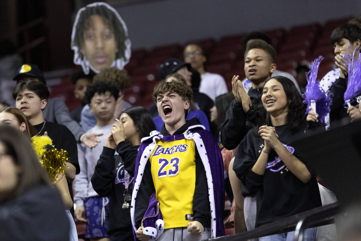 Durango’s student fan section goes wild after their team scored during the second half o ...