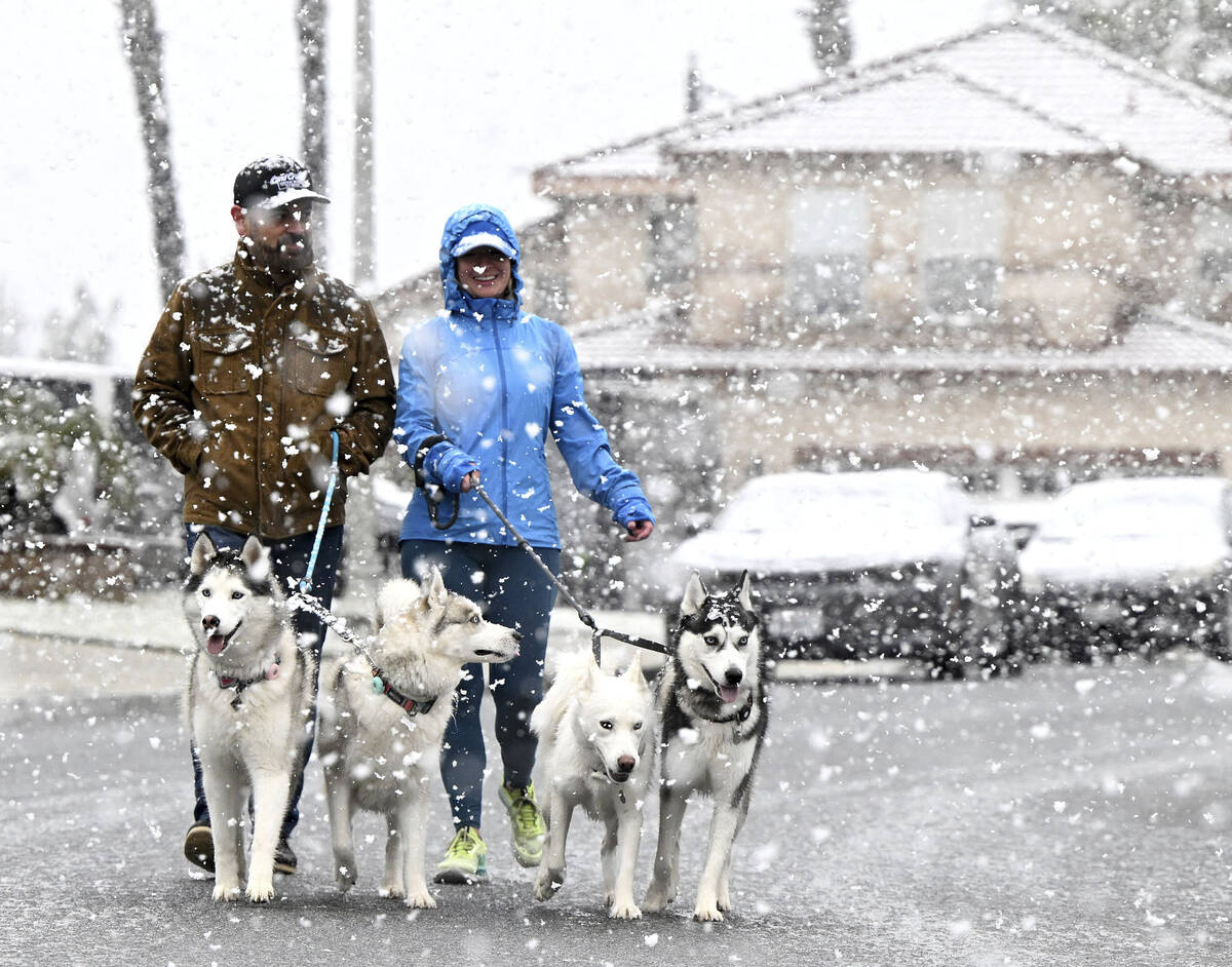 Louis and Erin Palos walk their pack of Siberian huskies through their Hunters Ridge neighborho ...