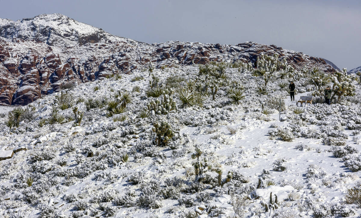 A visitor walks down from a viewpoint on a ridge overlooking the Red Rock Canyon National Conse ...