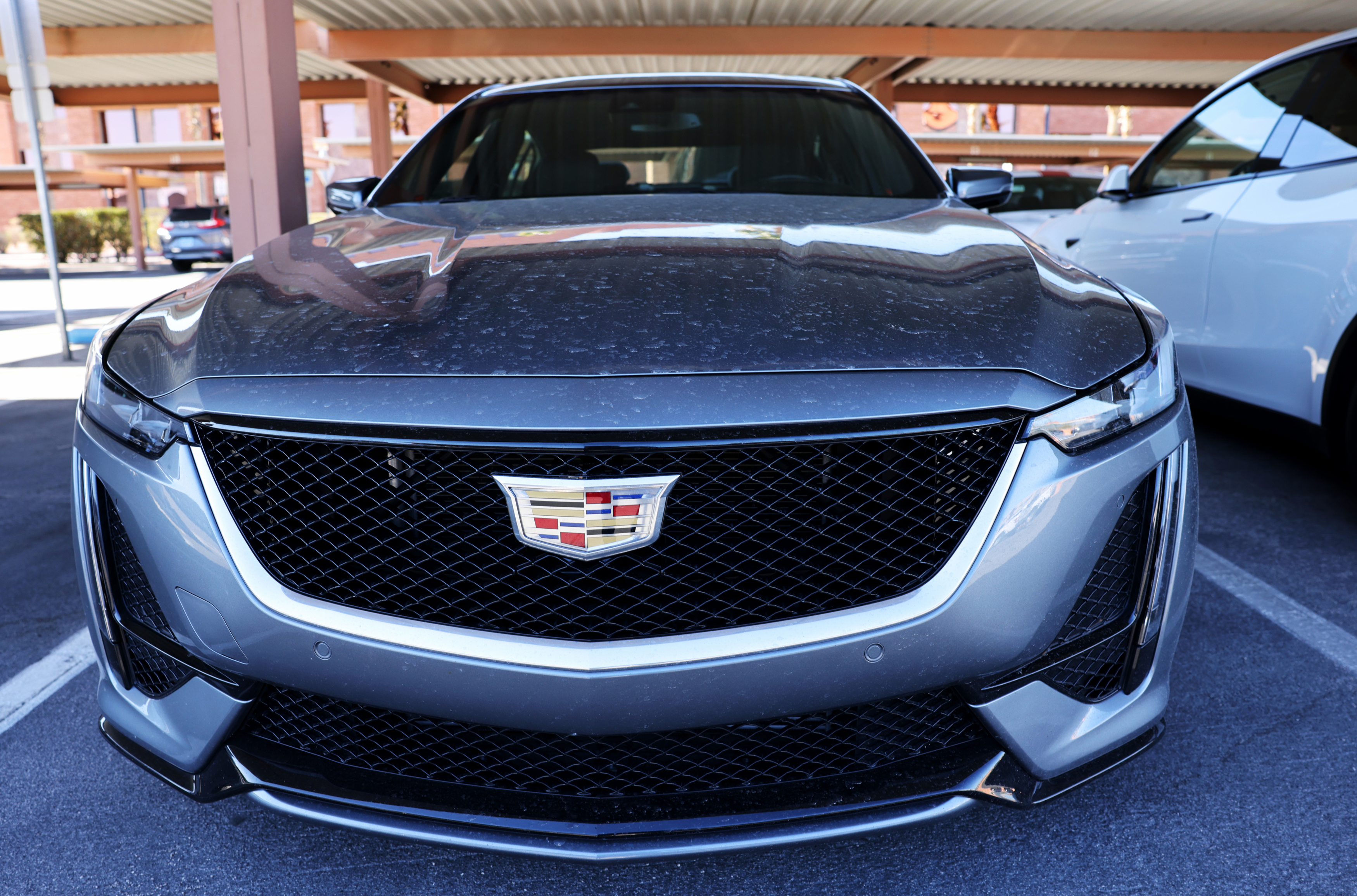 Mobil mewah dibeli dengan uang pembayar pajak di Southern Nevada