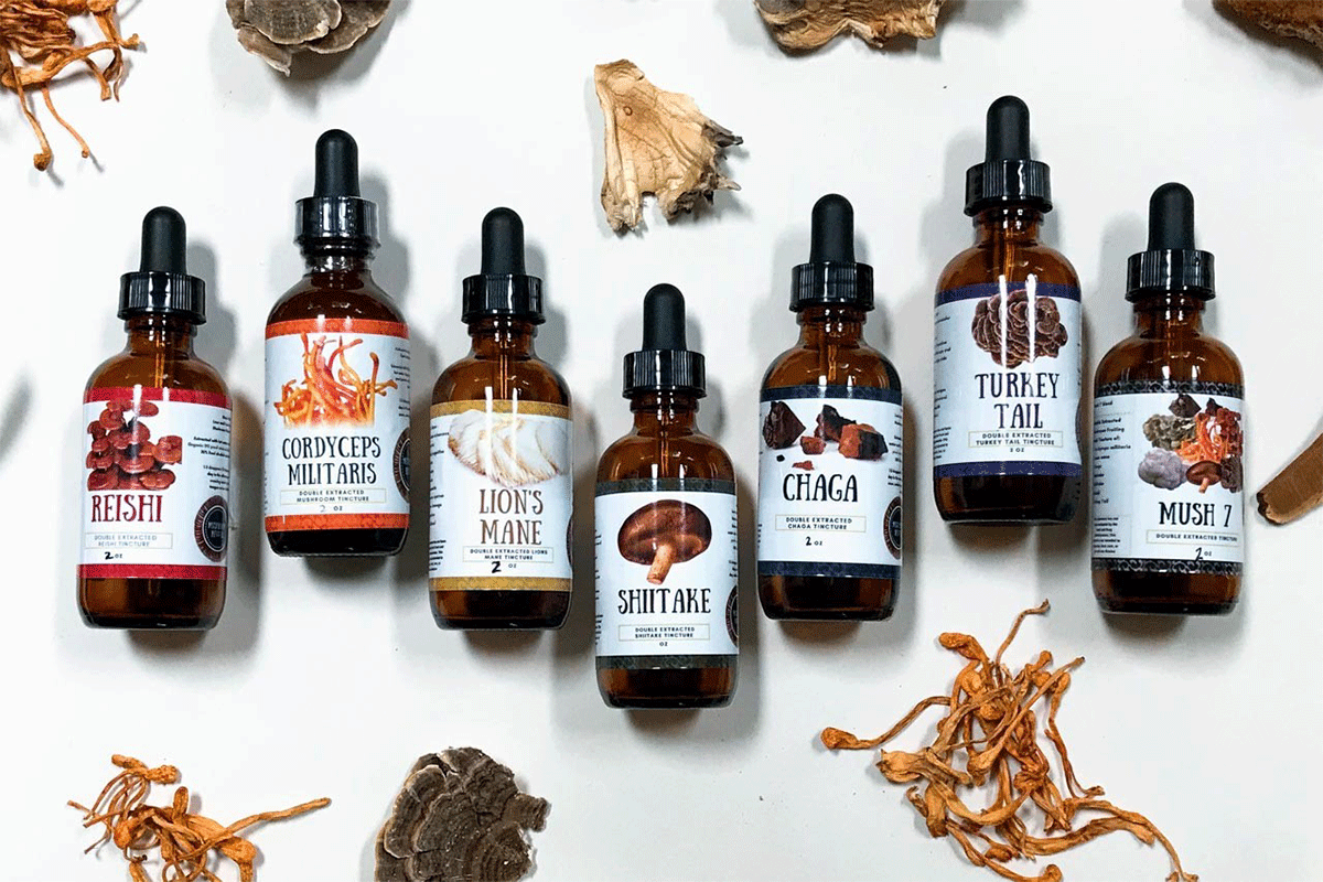 Best Mushroom Supplements Top Mushroom Powders & Product Brands Las