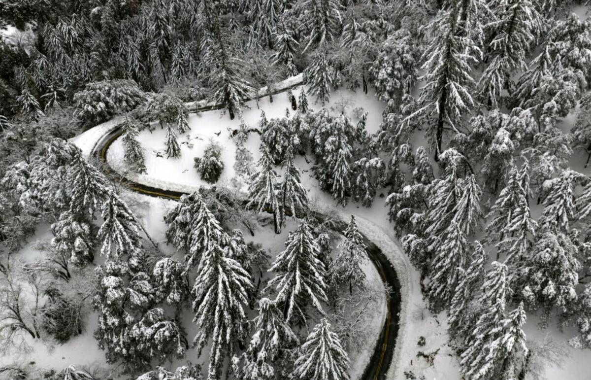 State Route 138 winds through snow-covered trees near Hesperia, Calif., Wednesday, March 1, 202 ...
