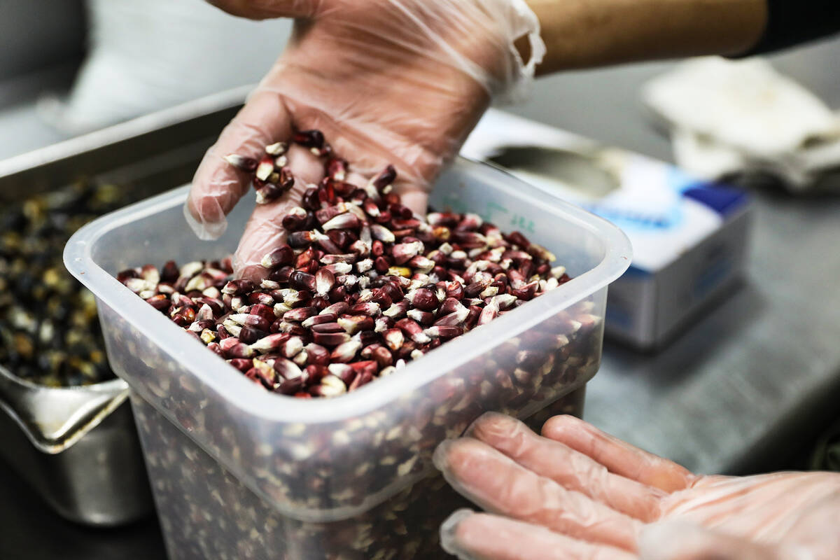 Chef DJ Flores shows the Review-Journal corn kernels to be ground into masa at Milpa, his Mexic ...