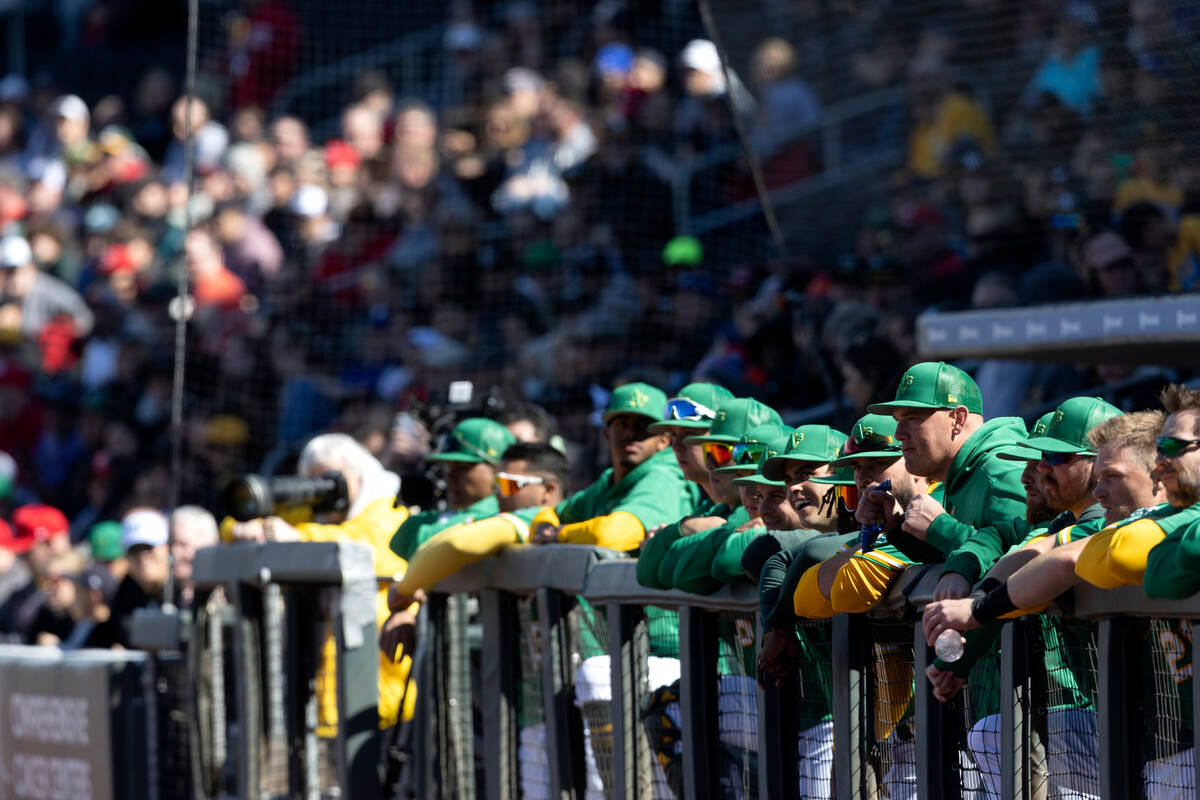 The Oakland Athletics watch from the dugout during an MLB exhibition game against the Cincinnat ...