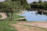 Henderson City Council cuts water use for golf courses, lowers water rates
