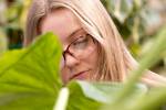 Las Vegas greenhouse ‘oasis’ for plant lovers, local businesses