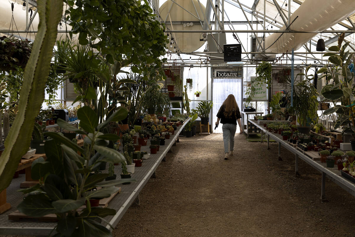 Bryanna Deter, an employee at Botany, walks to the register at the greenhouse on Friday, March ...