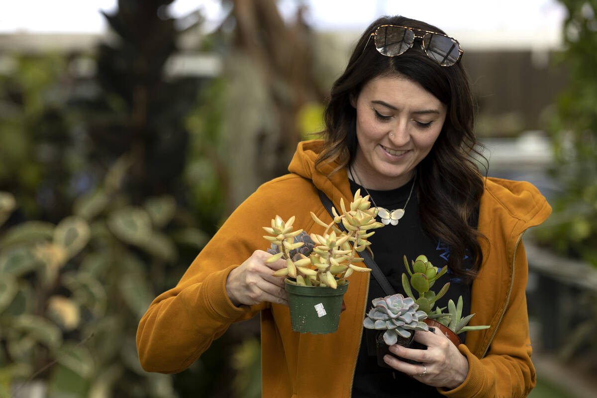 Briana Noel, of Las Vegas, carries her haul to the register at Botany, Las Vegas' largest green ...