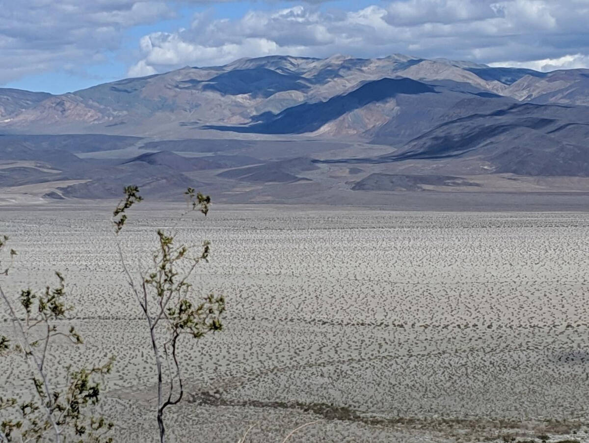 The Saline Valley wilderness where Bob vanished. (Inyo County sheriff’s office)
