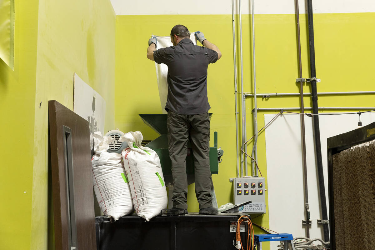 Head brewer Cameron Fisher pours grain to be milled at CraftHaus Brewery on Wednesday, March 15 ...