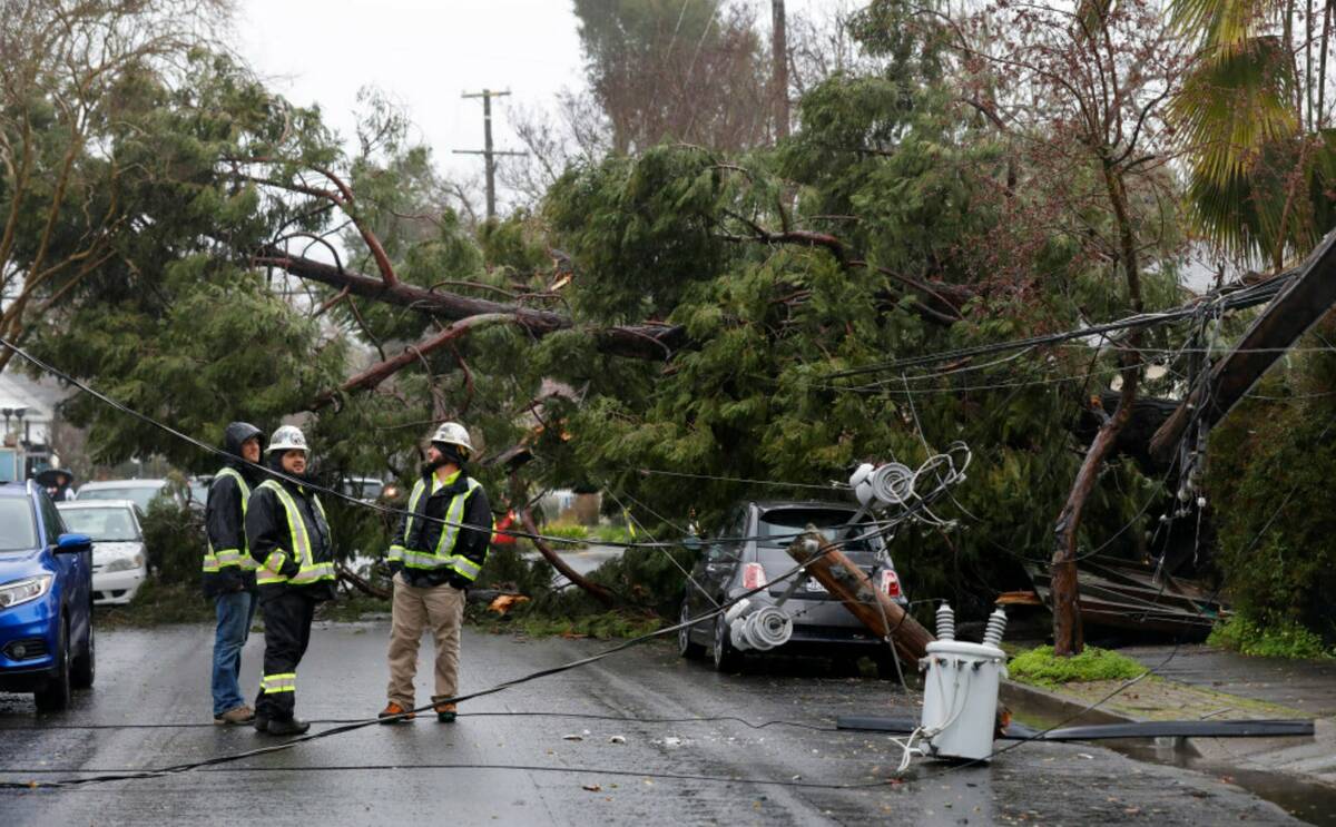 Members of a tree crew take a look at damage to a utility pole after a tree fell across Orchard ...