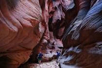 Sunlight peeks into the narrows of Buckskin Gulch in Kane County, Utah, in 2016. (Lennie Mahler ...