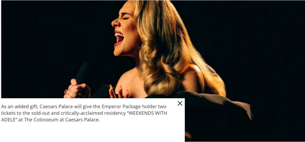 A screen shot of Adele's tickets offered in the $5 million Emperor Package for the Formula One ...