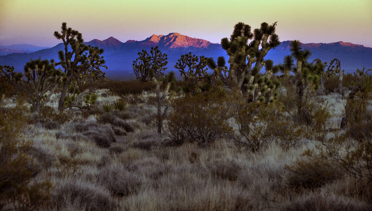 Spirit Mountain reflects the last glow of sunlight within the Avi Kia Ame proposed National Mon ...