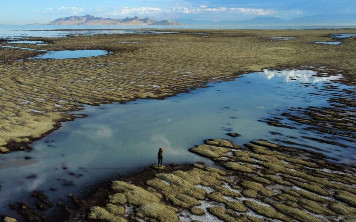 Utah park ranger Angelic Lemmon walks across reef-like structures called microbialites at the G ...