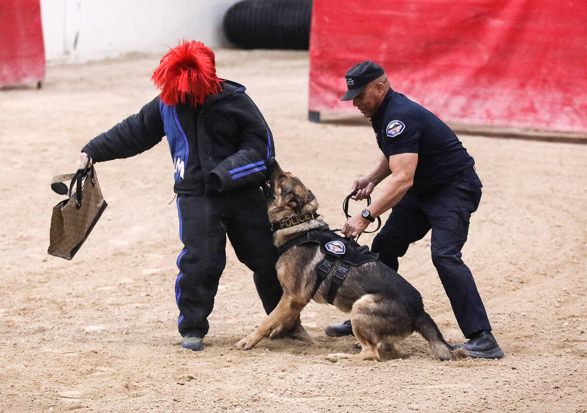 Kevin Brooks, a K-9 officer with Menifee Police Department, guides his dog Dino during the hand ...