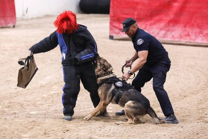 Kevin Brooks, a K-9 officer with Menifee Police Department, guides his dog Dino during the hand ...