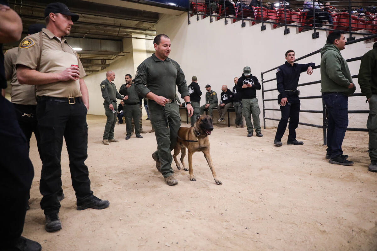 Jessie Deacon, a K-9 officer with the Riverside Sheriff’s Department, guides his dog Alv ...