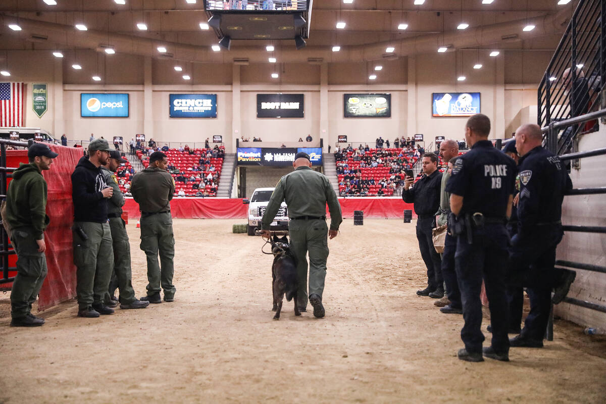 Eric Hutchason, a K-9 officer with the Las Vegas Metropolitan Police Department, guides his dog ...