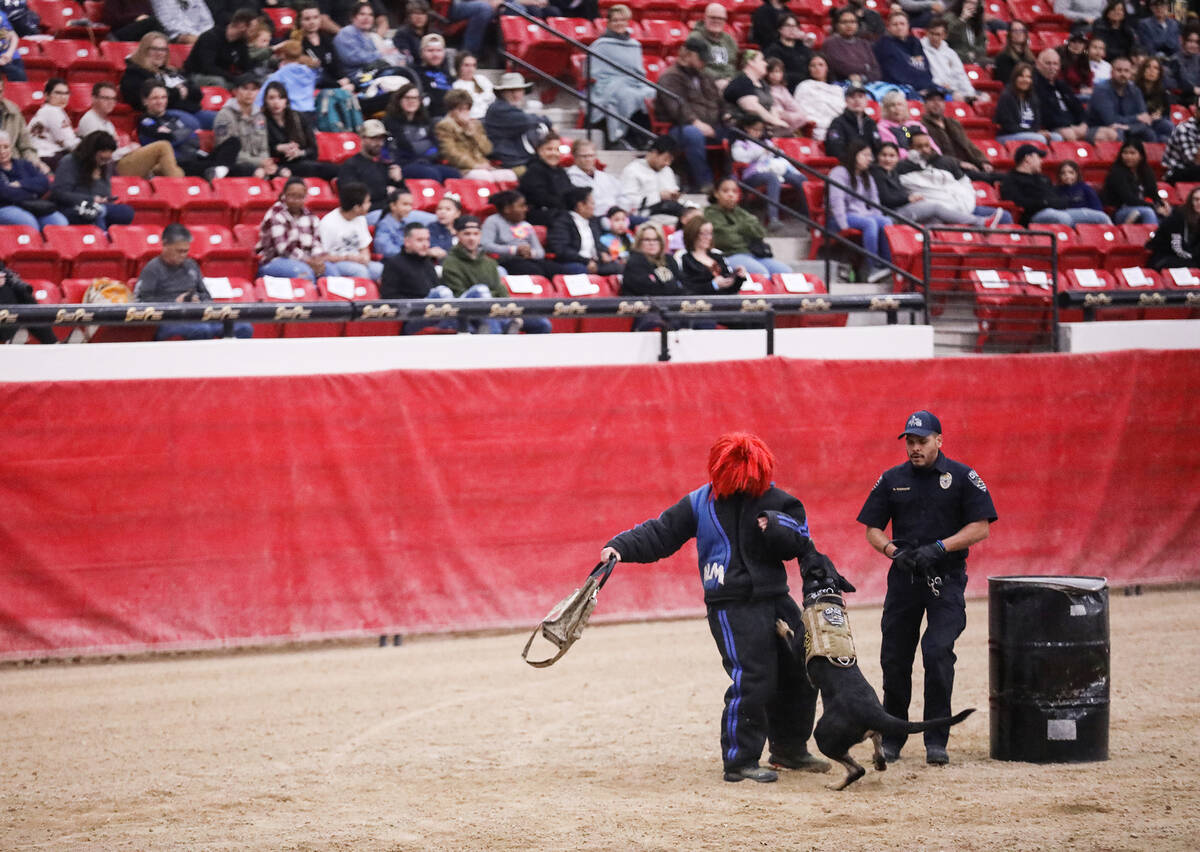 Miguel Rodriguez, a K-9 officer with West Jordan, guides his dog Harley during the handler prot ...