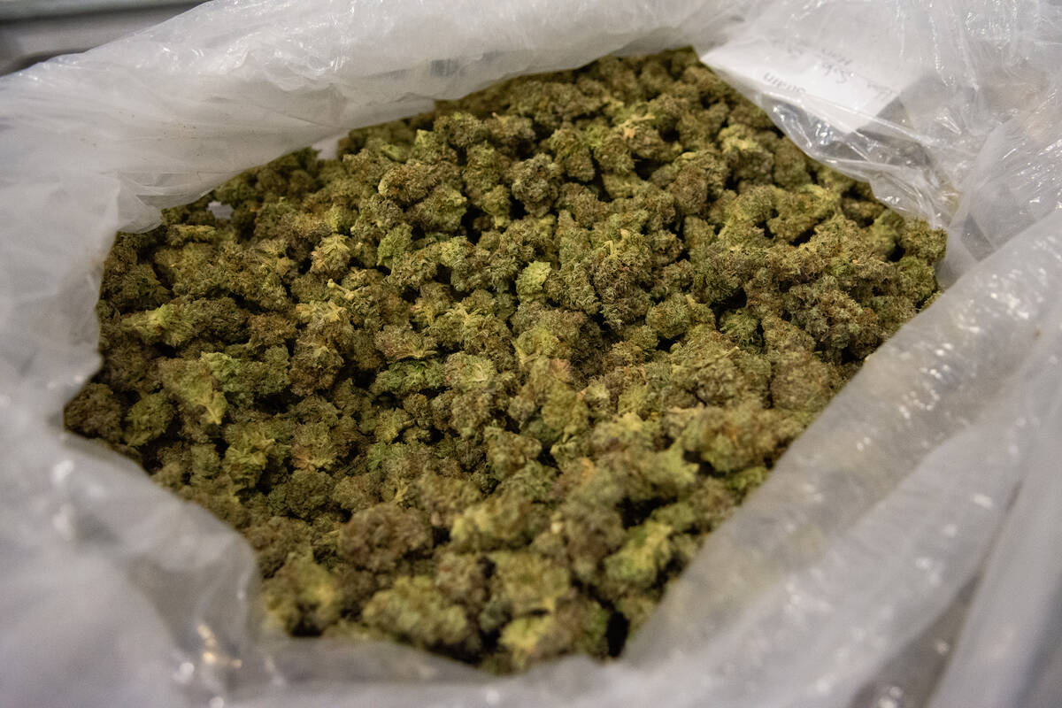 A bag filled with Han Solo Burger, a cannabis strain grown by The Real McCoy, inside the packag ...